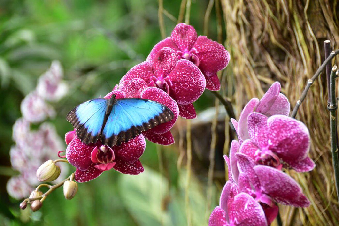Doporučený obrázek pro Benalmádena