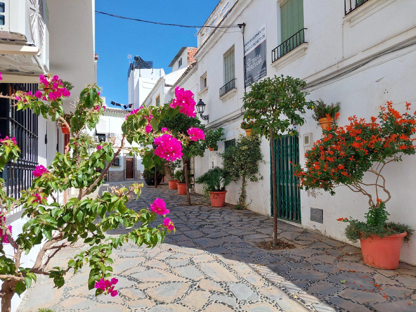 Featured image for Estepona